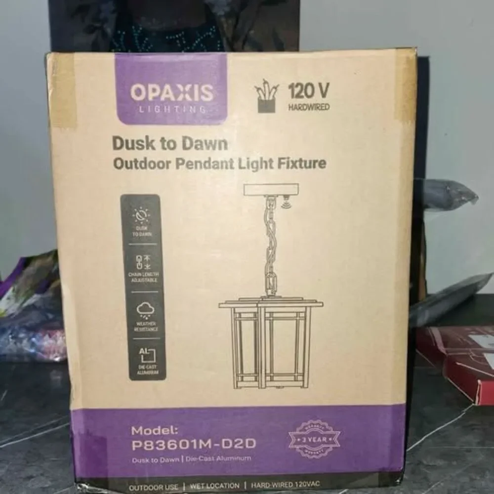Dusk to Dawn Outdoor Pendant Light Fixture